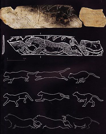 Decomposition through successive images of the lions frieze. Grotte de la Vache, Ariège, France.